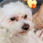 ヒメ日記 2026/02/04 07:51 投稿 はつね クラブM-1