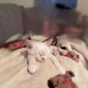 ヒメ日記 2025/10/17 21:08 投稿 きい ソープランド AQUA（アクア）