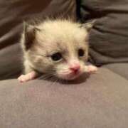 ヒメ日記 2025/11/01 22:20 投稿 きい ソープランド AQUA（アクア）