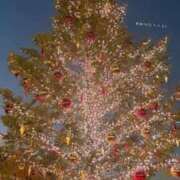 ヒメ日記 2025/12/26 14:18 投稿 きい ソープランド AQUA（アクア）