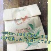 ヒメ日記 2025/10/24 15:22 投稿 ゆう☆ 豊橋豊川ちゃんこ