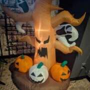 ヒメ日記 2025/10/26 05:32 投稿 ゆう☆ 豊橋豊川ちゃんこ