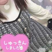 ヒメ日記 2025/10/26 13:02 投稿 ゆう☆ 豊橋豊川ちゃんこ