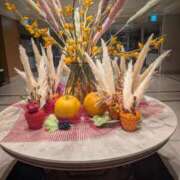 ヒメ日記 2025/10/26 14:32 投稿 ゆう☆ 豊橋豊川ちゃんこ