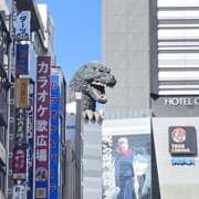 ヒメ日記 2025/11/19 17:00 投稿 うみ 錦糸町人妻セレブリティ（ユメオト）