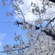 ヒメ日記 2026/03/31 13:22 投稿 うみ 錦糸町人妻セレブリティ（ユメオト）