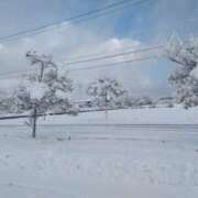 ヒメ日記 2026/01/03 16:20 投稿 大橋香純 五十路マダム姫路店