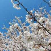 ヒメ日記 2026/04/04 15:04 投稿 大橋香純 五十路マダム姫路店