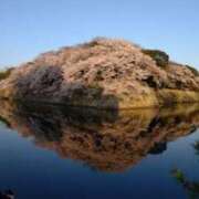 ヒメ日記 2026/04/05 08:32 投稿 大橋香純 五十路マダム姫路店