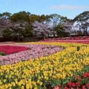 ヒメ日記 2026/04/11 08:22 投稿 大橋香純 五十路マダム姫路店