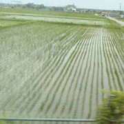 ヒメ日記 2026/07/17 11:20 投稿 大橋香純 五十路マダム姫路店