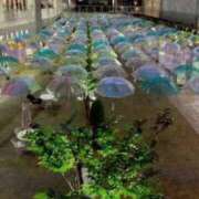 ヒメ日記 2026/09/09 07:52 投稿 大橋香純 五十路マダム姫路店