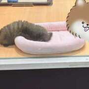 華帆 11/26（水）のお礼＆次回出勤日 人妻の出会い