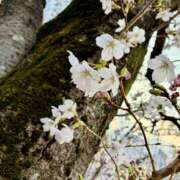 ヒメ日記 2026/04/06 18:56 投稿 華帆 人妻の出会い