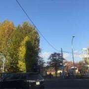 ヒメ日記 2025/11/20 22:21 投稿 友美 出会い系人妻ネットワーク錦糸町～小岩編