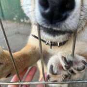 ヒメ日記 2025/12/07 08:30 投稿 友美 出会い系人妻ネットワーク錦糸町～小岩編