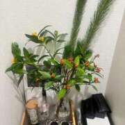 ヒメ日記 2026/01/11 10:39 投稿 友美 出会い系人妻ネットワーク錦糸町～小岩編