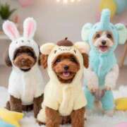 ヒメ日記 2026/01/15 09:37 投稿 友美 出会い系人妻ネットワーク錦糸町～小岩編