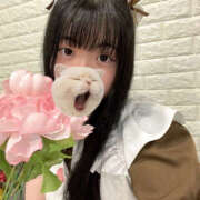 ヒメ日記 2025/10/17 00:25 投稿 ここね バイオレンス