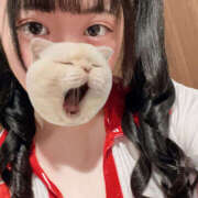 ヒメ日記 2025/10/18 10:15 投稿 ここね バイオレンス