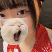 ヒメ日記 2025/10/23 10:35 投稿 ここね バイオレンス