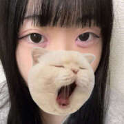 ヒメ日記 2025/10/31 07:15 投稿 ここね バイオレンス