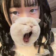 ヒメ日記 2025/11/03 09:15 投稿 ここね バイオレンス