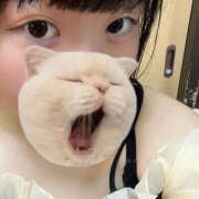 ヒメ日記 2025/11/09 09:55 投稿 ここね バイオレンス