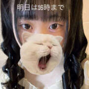 ヒメ日記 2025/11/12 17:28 投稿 ここね バイオレンス