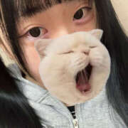 ここね ここね出勤しました🫧 バイオレンス