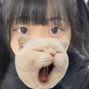 ヒメ日記 2025/12/07 08:35 投稿 ここね バイオレンス