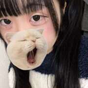 ここね インフル明け　ここね復活です バイオレンス