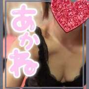 ヒメ日記 2025/11/08 16:30 投稿 あかね Respect