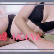 ヒメ日記 2025/12/13 07:55 投稿 あかね Respect