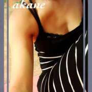 ヒメ日記 2025/12/29 14:42 投稿 あかね Respect