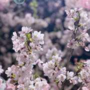 あかね おはようございます Respect