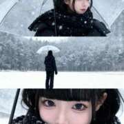 ヒメ日記 2025/11/13 10:15 投稿 うたは ヌーベル・マリエ