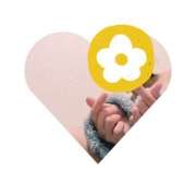 ヒメ日記 2026/01/17 19:43 投稿 中島いずみ なめこ治療院（横浜ハレ系）