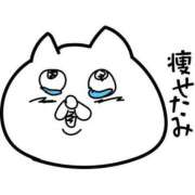 ヒメ日記 2026/04/06 06:34 投稿 中島いずみ なめこ治療院（横浜ハレ系）