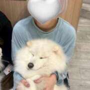 ヒメ日記 2025/11/25 12:58 投稿 ましろ 派遣型JKリフレ ぷるぷる新宿