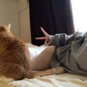 ヒメ日記 2026/03/02 09:42 投稿 日向 モアグループ所沢人妻城