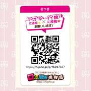 ヒメ日記 2025/10/22 12:40 投稿 さつき 秋葉原ハンドメイド