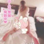 みらい もっと構って💕 所沢東村山ちゃんこ