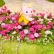 ヒメ日記 2025/11/08 08:52 投稿 みらい 西東京市小平ちゃんこ