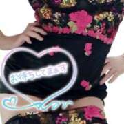 ヒメ日記 2025/10/30 00:22 投稿 原田麗子(はらだれいこ) 五十路マダムエクスプレス厚木店(カサブランカグループ)