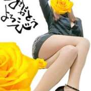 ヒメ日記 2025/12/08 14:44 投稿 原田麗子(はらだれいこ) 五十路マダムエクスプレス厚木店(カサブランカグループ)