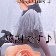原田麗子(はらだれいこ) 感謝です♪ 五十路マダムエクスプレス厚木店(カサブランカグループ)