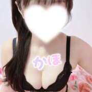 ヒメ日記 2026/04/15 11:00 投稿 かほ 逢って30秒で即尺