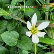 ヒメ日記 2025/10/29 08:46 投稿 下條(しもじょう) 人妻出逢い会 百合の園 品川店