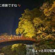 ヒメ日記 2025/11/04 09:16 投稿 下條(しもじょう) 人妻出逢い会 百合の園 品川店